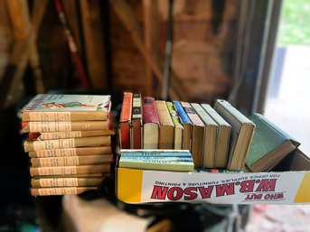 G/ Box - Vintage Book Lot: Honey Bunch Series, The Pony Rider Boys Etc