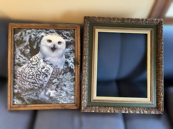 FR/ 2pcs - Framed Owl Photograph And Ornate Empty Frame