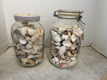 FR/ 2pcs F58 - Gallon Jars Of Assorted Sea Shells