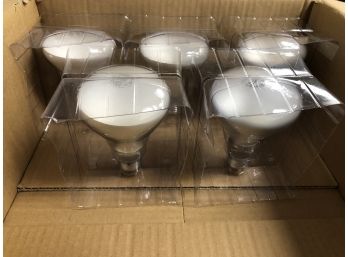 Floodlight Bulb Bundle