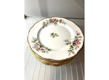 C/ 12 Lovely 'Moss Rose' China Plates Floral Pattern Gold Edge By Royal Albert