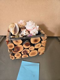 Wood Design Pot  Full Of Shells