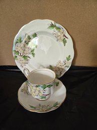 Vintage Royal Albert Flower Of The Month Teacup & Plate Trio No 5 Hawthorn