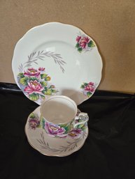 Royal Albert Water Lily Tea Cup, Saucer.,Salad Plate  8 1/4' Flower Of The Month Series #7