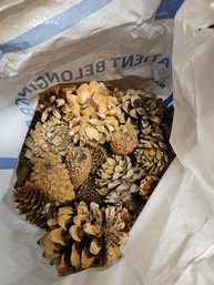 Bag Of Pinecones