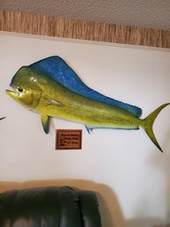 Mahi Fish Taxidermy