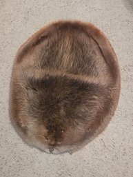 Beaver Pelt Tan