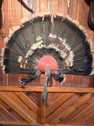 2016 Rio Grande Turkey Feather Decor