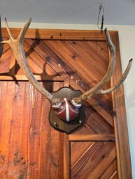 1991 Antlers Wall Decor #1