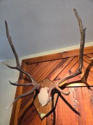 2001 Antlers Mounted Wall Plaque #2