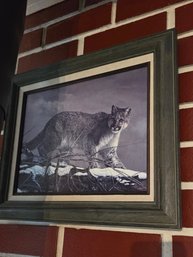 Bobcat Photo Framed 16'wx12'h