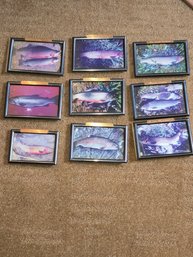 Fish Photos Brass Label Sm Framed