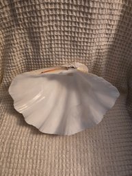 Shell #27 Clam Half 11'Wx6'h