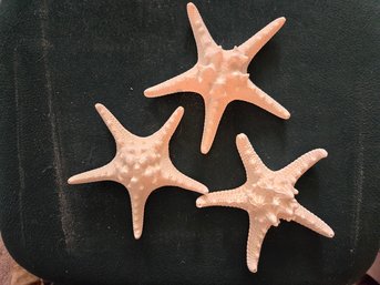 Ceramic Starfish Set Of 3