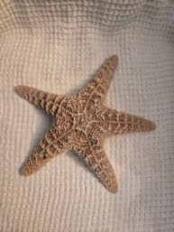 Starfish 9'