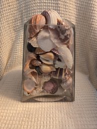 Glass Vase 7'x7' Filled With Shells