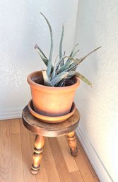 Wooden Stool With Plant