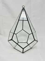 Glass Plant Terrarium