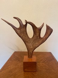 Deer Antler On Wooden Stand  14