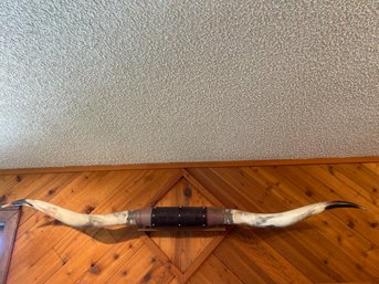 Mounted Horns 75 Inches