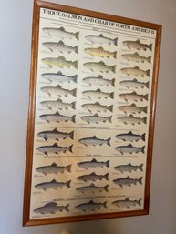 Fish Identifier Chart North America II 24x38