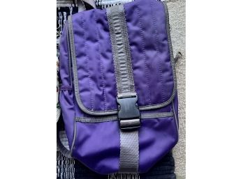 Purple Crossbody Purse And Multi-color Purse With Birds