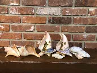 Assorted Seashells 2 With Paintings