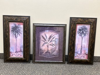 3 Palm Tree Framed Prints