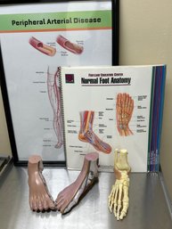 Podiatry Foot Models, Book & Poster