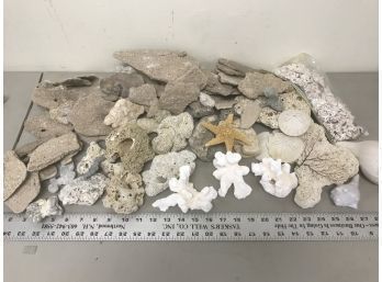 Large Lot Of Natural Coral, Lot C