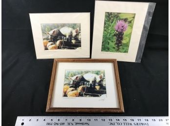 Three Matted  Photos With Artist Signature