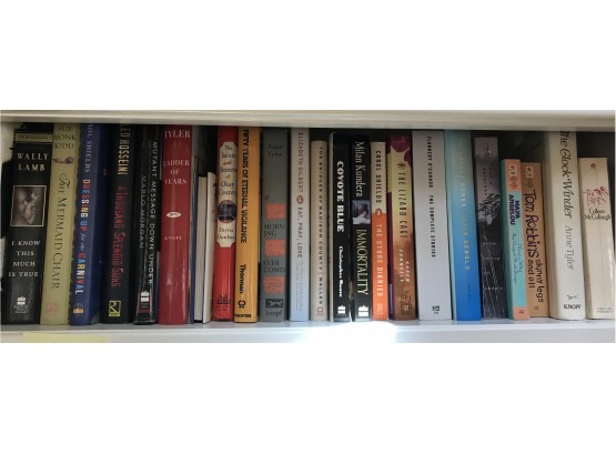 Shelf Of Novels