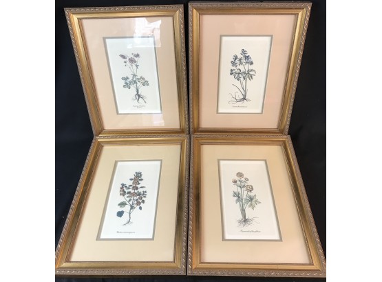 4 Framed And Matted Prints Of Flowers