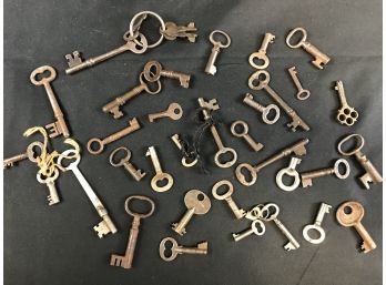 Skeleton Keys Lot 1
