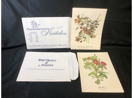Prints Of  Wildflowers Of America/Audubon Bird Paintings