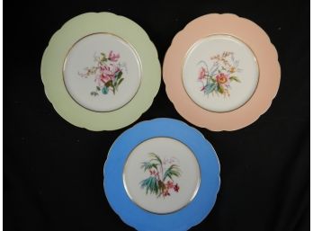 Set Of Three Old Floral Hand Painted Plates