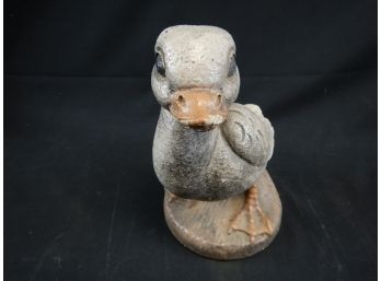 Old Duck With A Broken Beak