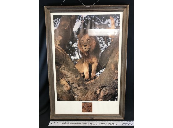 Framed Poster, The African King, Approximate Size 27 Inches Long Bye 39 Inches High