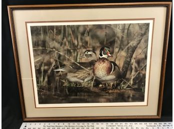 Framed Print, Ducks, Numbered, Signed, Approximate Size 29 Inches Long By 24 Inches High