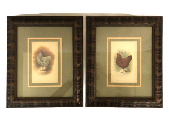 Two Lillian August Rooster Prints In Nice Frames