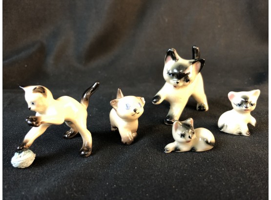 5 Siamese Cat Miniatures