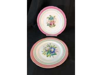 2 Early 19th Century Botanical Cabinet Plates