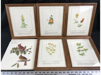 5 Framed Wildflower Prince, 4 JJ Audubon Prints From 1977 Calendar