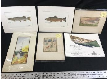 6 Pictures Of Fish, Boating Most With Matte