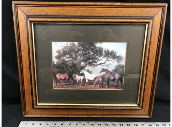 Framed Horse Print, 18 X 16
