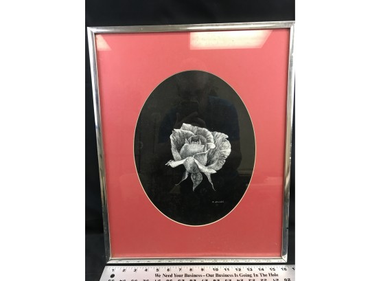 Framed Print, Rose, M Jacobs, Spotting Under Glass, 16 X 21