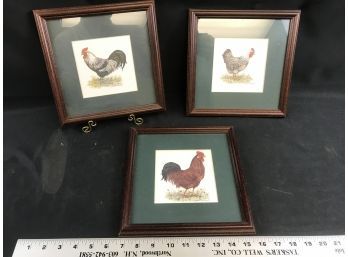 3 Rooster Framed Prints, 9 X 9