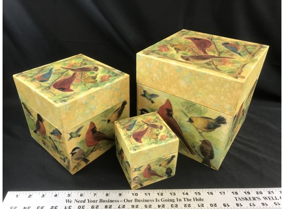 3 Nesting Heavy Duty Paper Bird Boxes