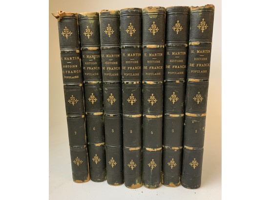 7 Volume Set Histoire De France Populaire By Henri Martin