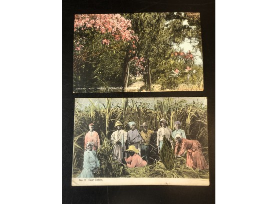 Jamaica/Bermuda Postcards
